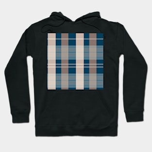 Autumn Aesthetic Evander 1 Hand Drawn Textured Plaid Pattern Hoodie